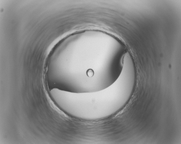 X0000052551518200507221438