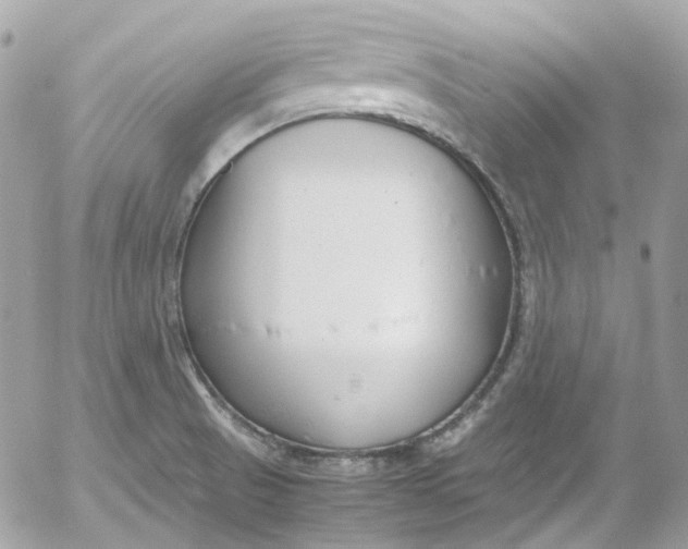 X0000052551521200507221438