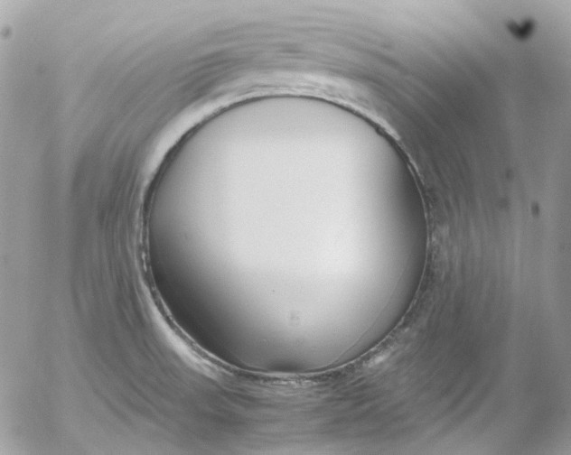 X0000052551523200507221438