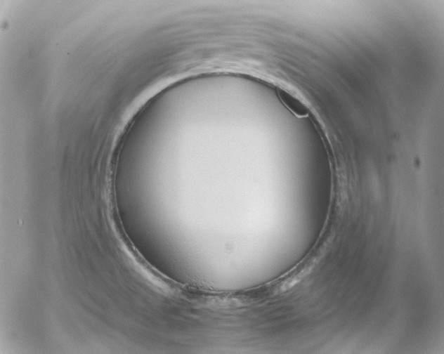 X0000052551525200507221438