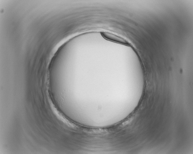 X0000052551526200507221438