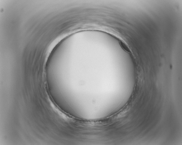 X0000052551527200507221438