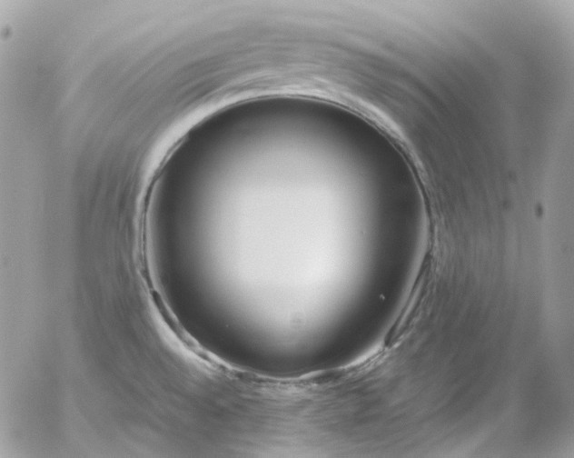 X0000052551528200507221438