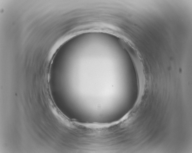 X0000052551530200507221438