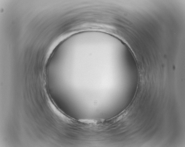 X0000052551531200507221438