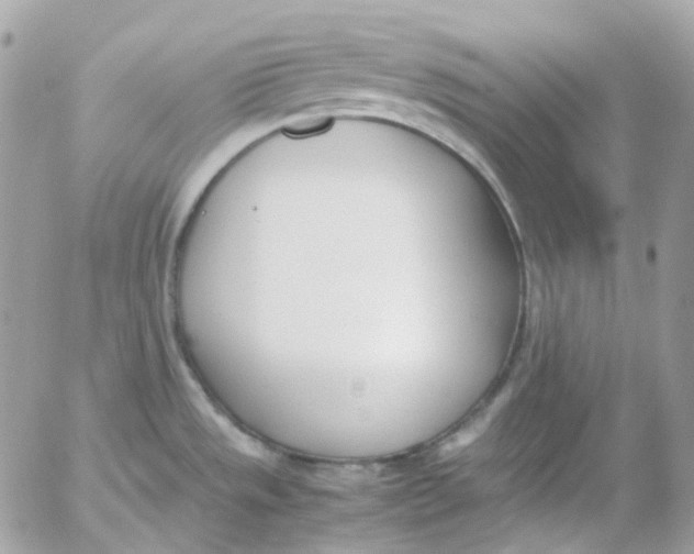 X0000052551533200507221438