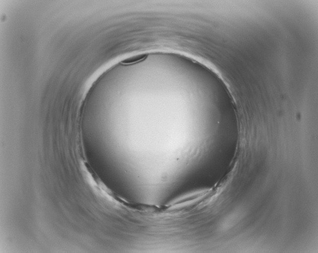 X0000052551534200507221438