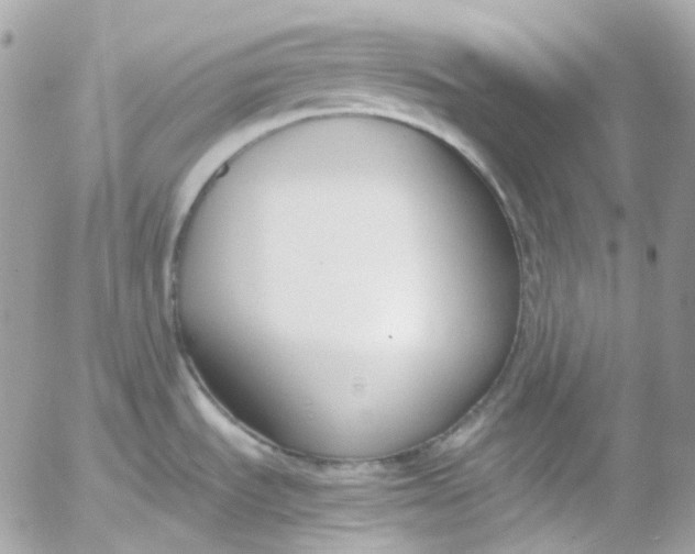 X0000052551535200507221438