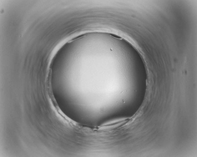 X0000052551536200507221438