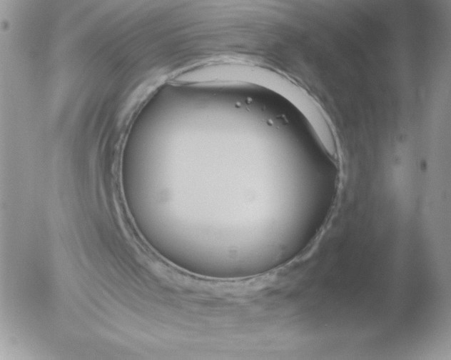 X0000052550001200507291927