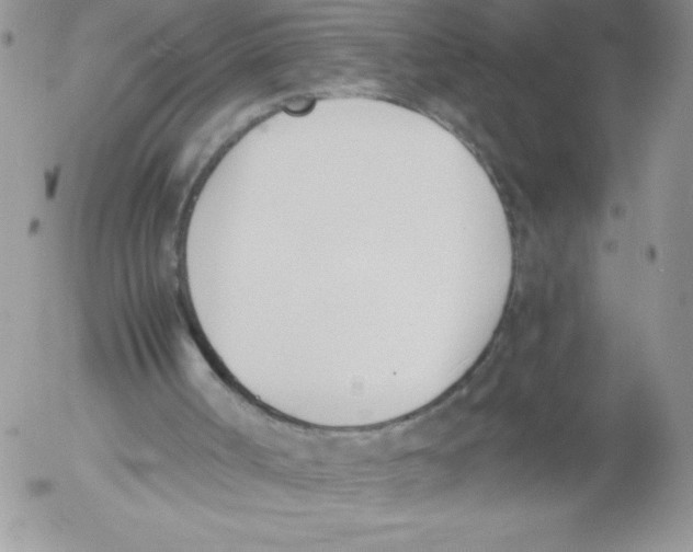 X0000052550002200507291927