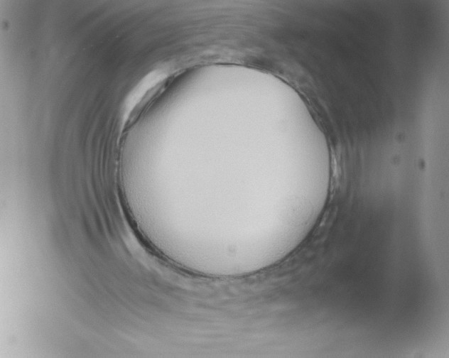 X0000052550003200507291927