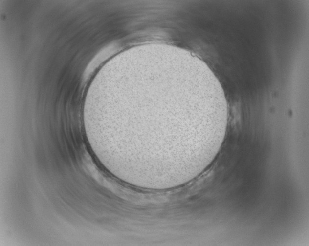 X0000052550004200507291927