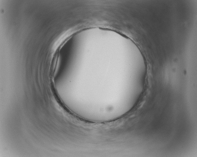 X0000052550007200507291927