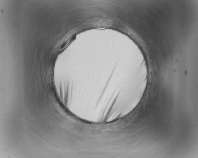 X0000052550009200507291927