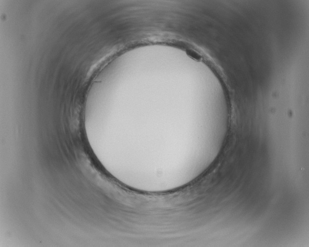 X0000052550010200507291927