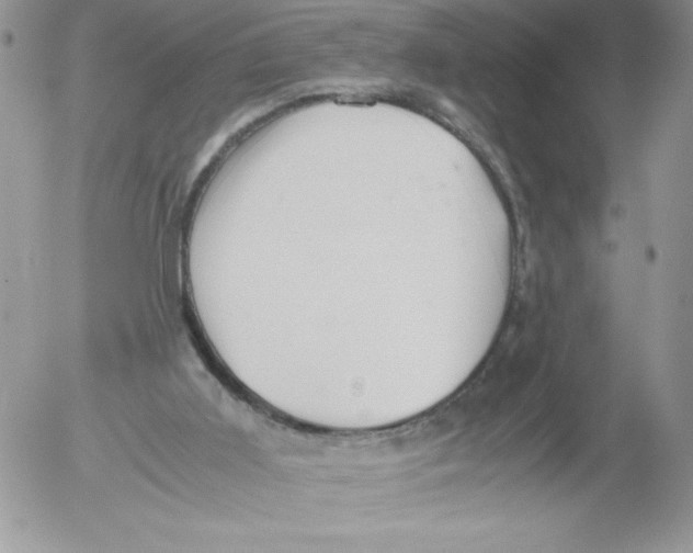 X0000052550011200507291927