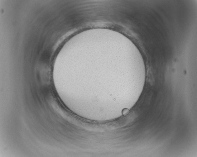 X0000052550012200507291927