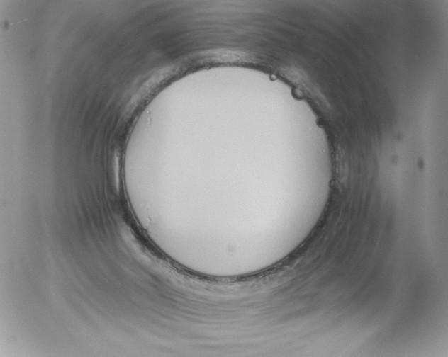 X0000052550014200507291927