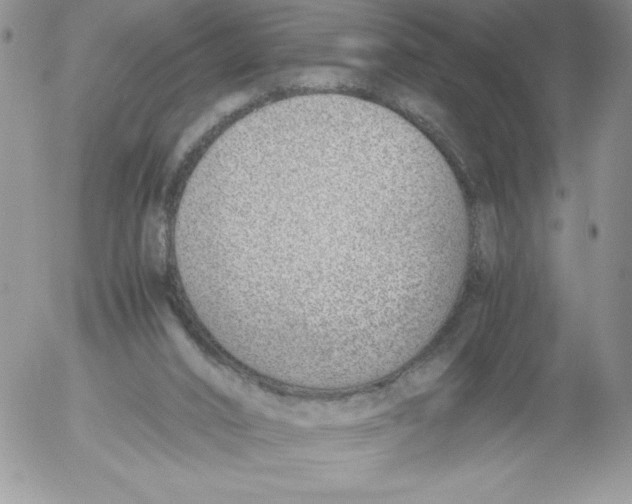 X0000052550016200507291927