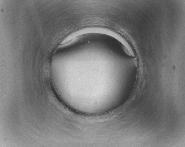 X0000052550017200507291927