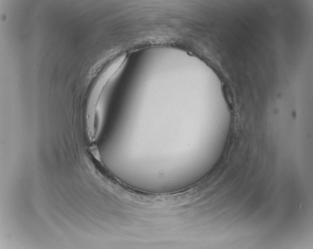 X0000052550019200507291927