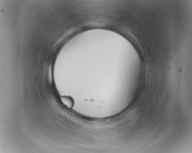 X0000052550020200507291927