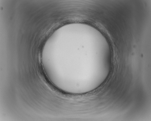 X0000052550021200507291927