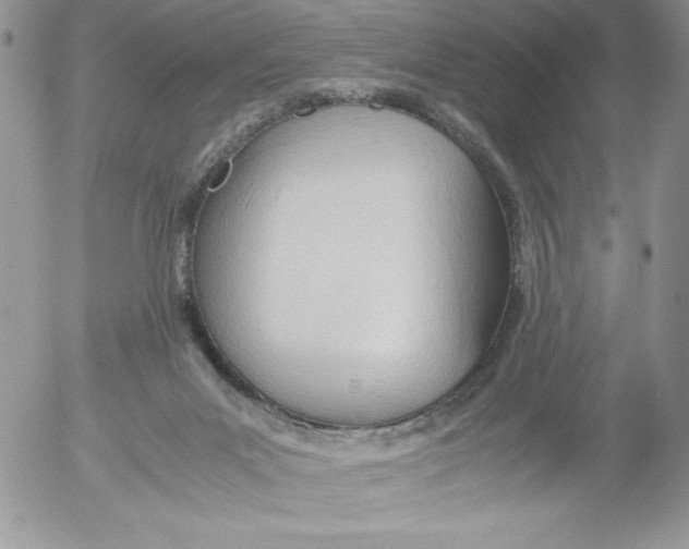 X0000052550023200507291927