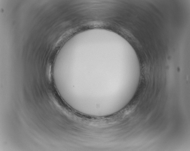 X0000052550024200507291927