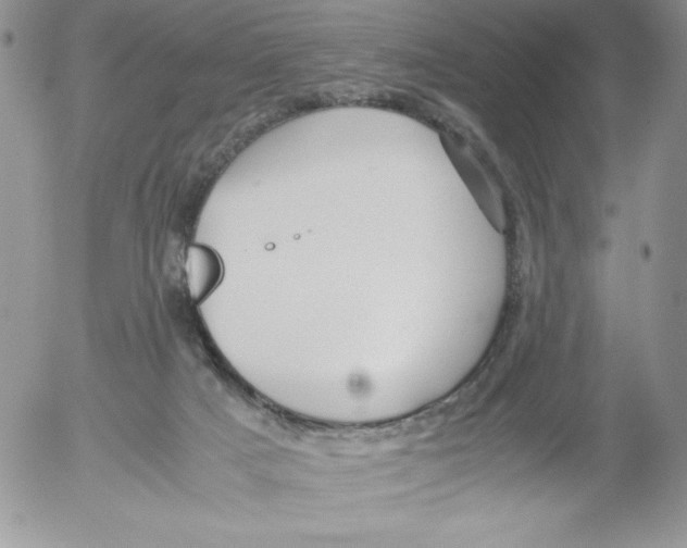 X0000052550025200507291927