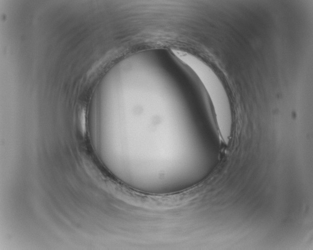 X0000052550027200507291927