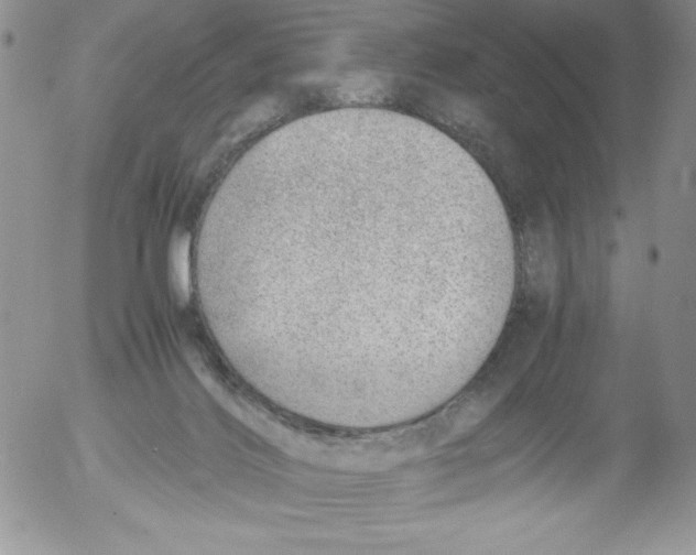 X0000052550028200507291927