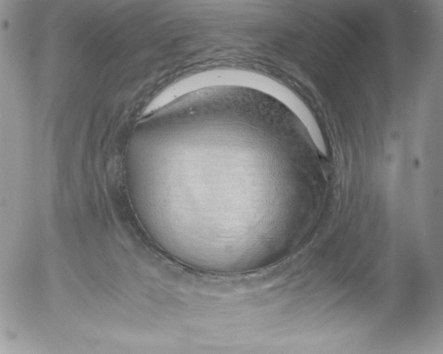 X0000052550029200507291927