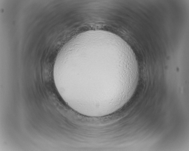 X0000052550030200507291927