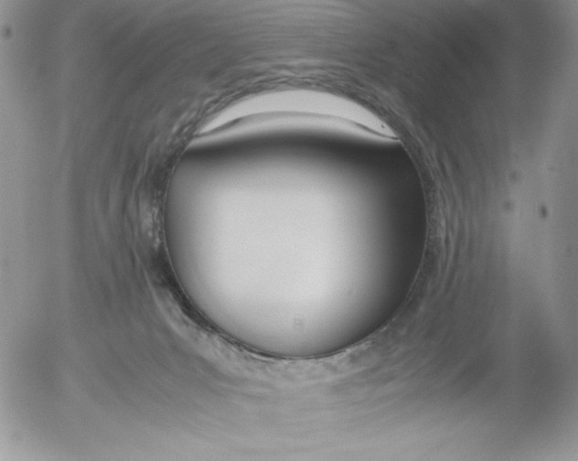 X0000052550031200507291927