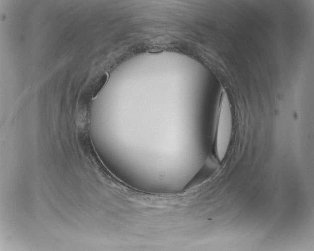 X0000052550033200507291927