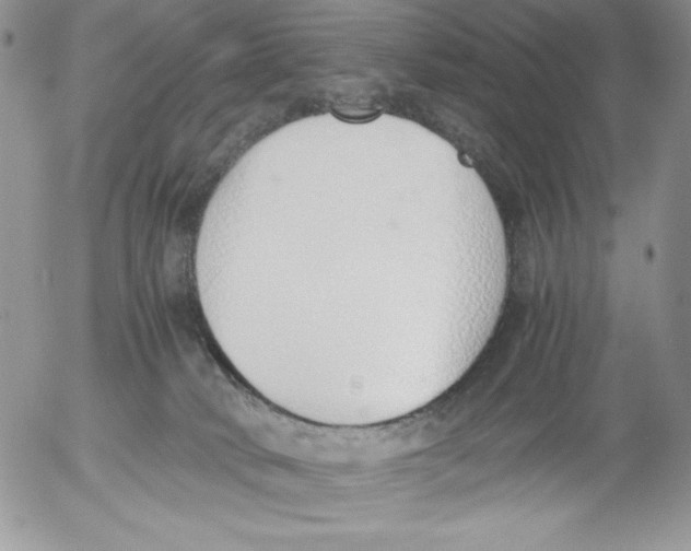 X0000052550034200507291927