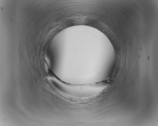 X0000052550035200507291927