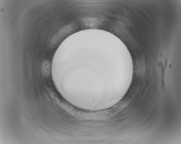 X0000052550036200507291927