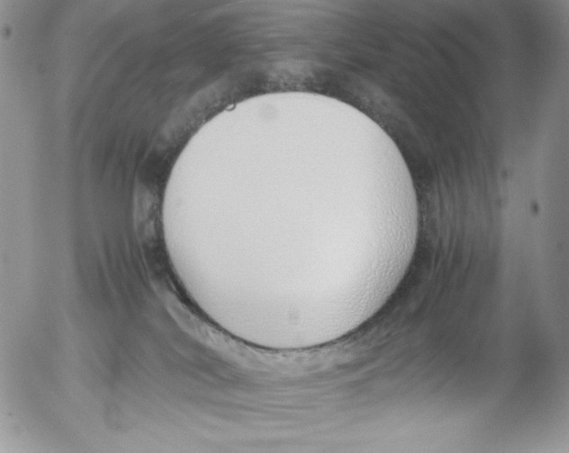 X0000052550038200507291927