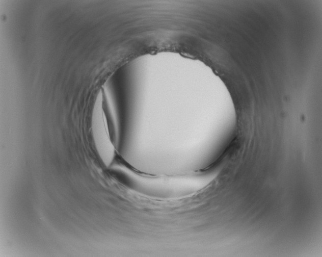 X0000052550039200507291927