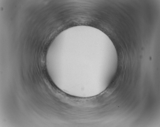 X0000052550040200507291927