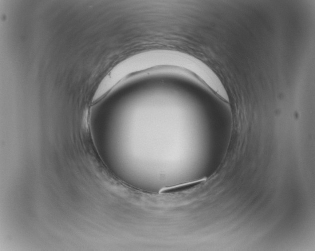 X0000052550041200507291927