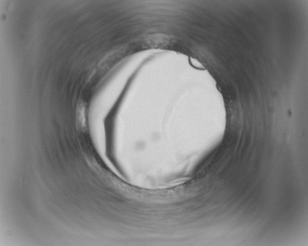 X0000052550042200507291927