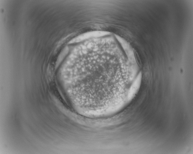 X0000052550043200507291927