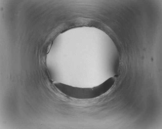 X0000052550045200507291927