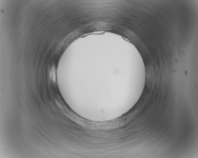 X0000052550046200507291927