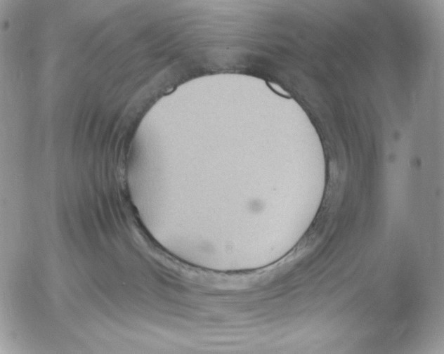 X0000052550048200507291927