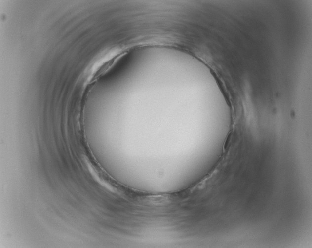 X0000052550050200507291926